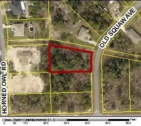0 Old Squaw Ave, Weeki Wachee, FL 34614