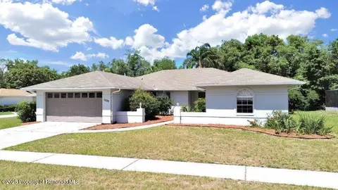 1229 Lansing Dr, Spring Hill, FL 34608