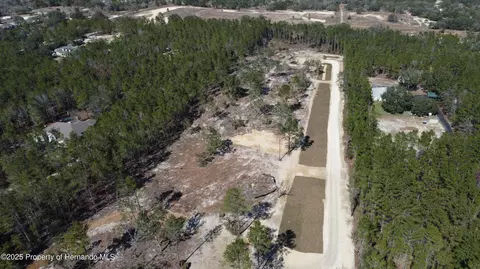 13261 Haven Trl, Weeki Wachee, FL 34614