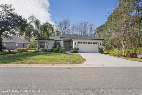 10169 Lenox Blvd, Weeki Wachee, FL 34613