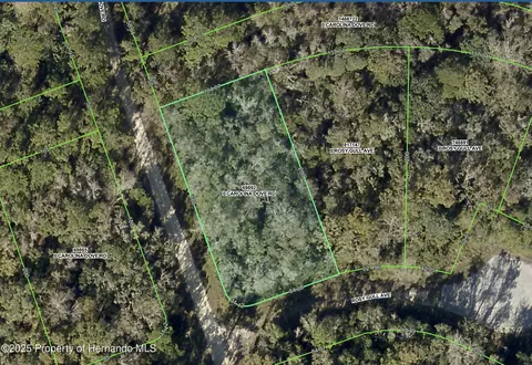 lot1 Carolina Dove Rd, Weeki Wachee, FL 34614