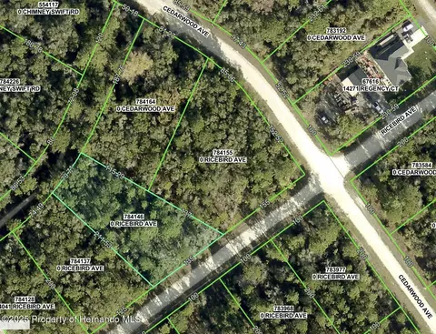 0 Ricebird, Weeki Wachee, FL 34614