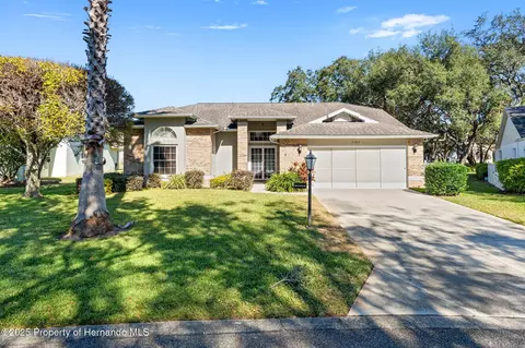 7393 Paradise Pine Ct, Spring Hill, FL 34606