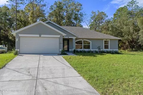 12040 Pine Warbler, Weeki Wachee, FL 34614
