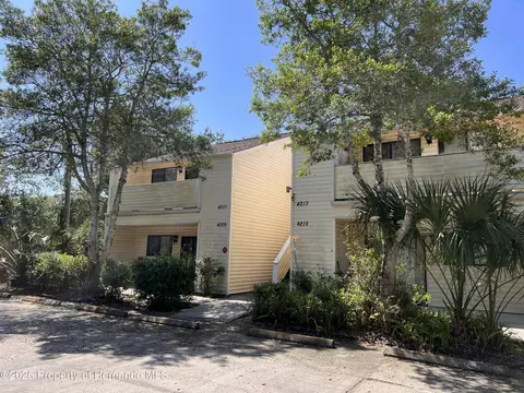 4225 Jason Rd, Spring Hill, FL 34608