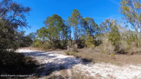 lot27 Coldrock Dr, Webster, FL 33597
