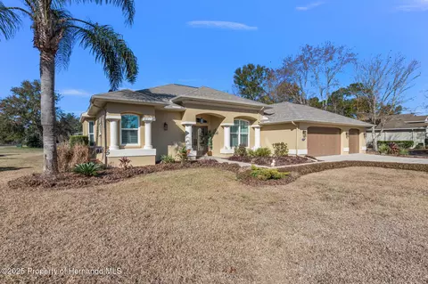 377 Jenico Ct, Spring Hill, FL 34609