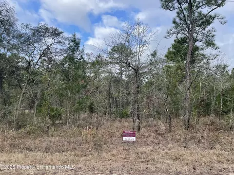 15393 Myland Rd, Weeki Wachee, FL 34614