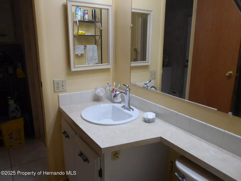  9141 Salisbury Dr, Brooksville, FL 34613 photo 19