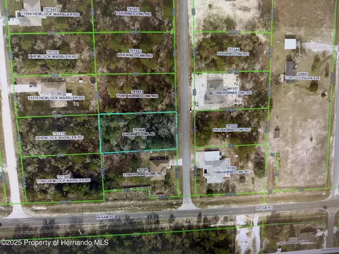 0 Horned Owl Rd, Weeki Wachee, FL 34614
