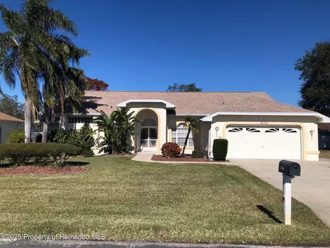 8173 Tedburn Park, Spring Hill, FL 34606