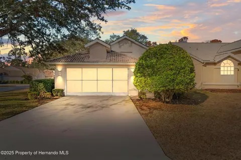 9287 New Orleans Dr, Weeki Wachee, FL 34613