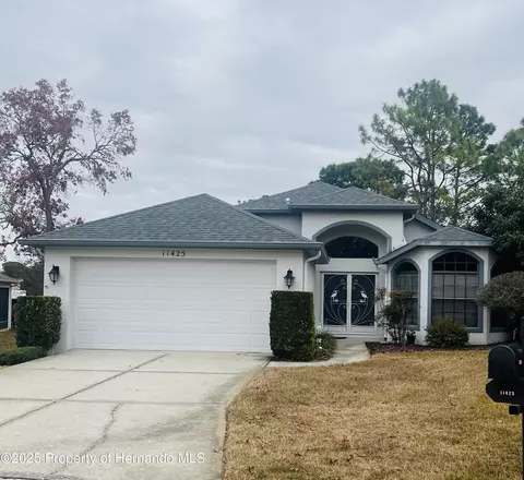 11425 Billingham Blvd, Spring Hill, FL 34609