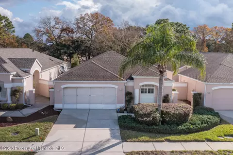 390 Royal Palm Way, Spring Hill, FL 34608