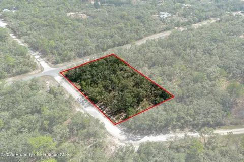 00 Shortstone Dr, Webster, FL 33597 photo 16