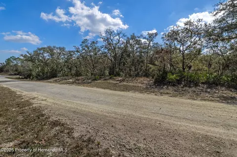 00 Shortstone Dr, Webster, FL 33597 photo 7