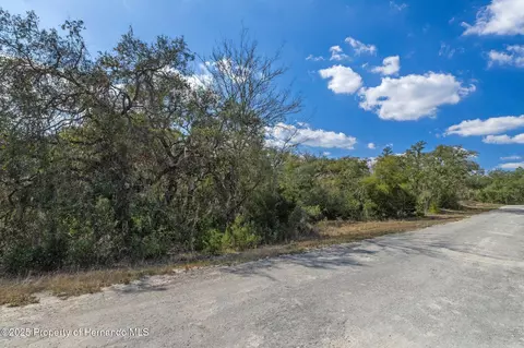 00 Shortstone Dr, Webster, FL 33597 photo 9