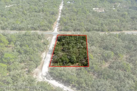 00 Shortstone Dr, Webster, FL 33597 photo 14