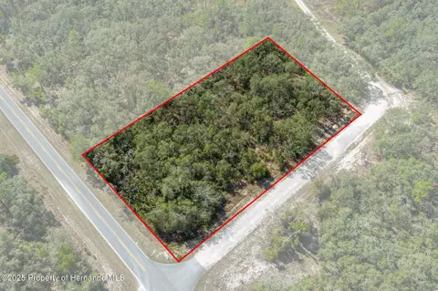 00 Shortstone Dr, Webster, FL 33597 photo 3