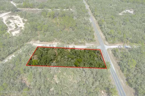 00 Shortstone Dr, Webster, FL 33597 photo 11