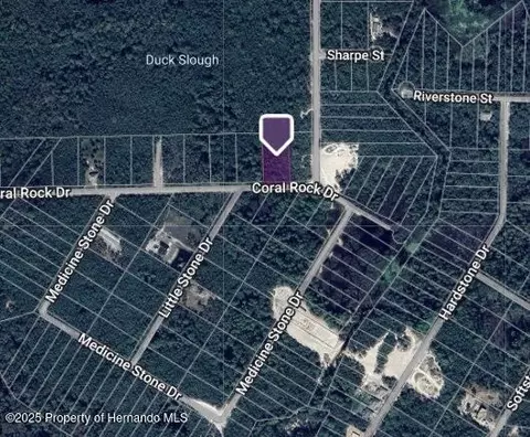 0 Coral Rock, Webster, FL 33597
