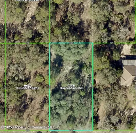 0 Snowy Plover Ave, Weeki Wachee, FL 34614