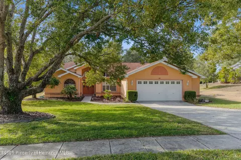 397 Silas Ct, Spring Hill, FL 34609