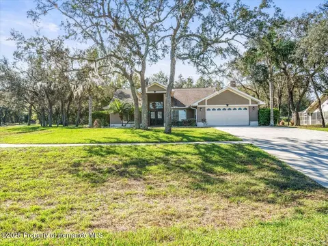 98 Forest Wood Ct, Spring Hill, FL 34609