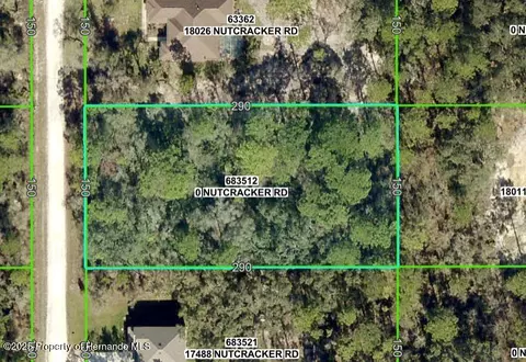 lot4 Nutcracker Rd, Weeki Wachee, FL 34614