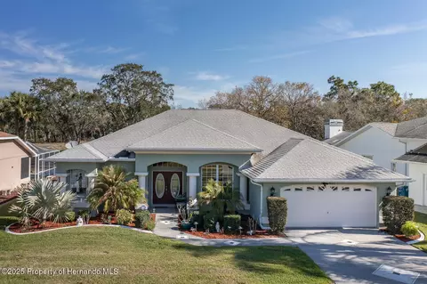 10407 Audie Brook Dr, Spring Hill, FL 34608