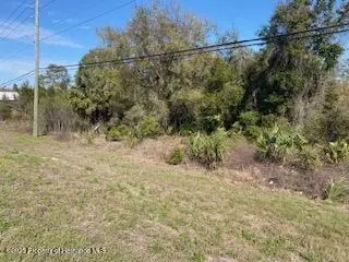 7092 Commercial Way, Weeki Wachee, FL 34613