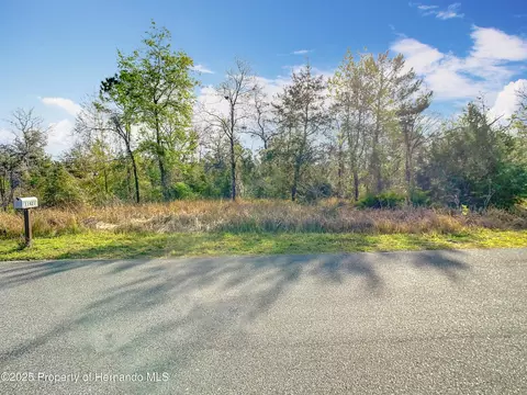 0 Maripoe Rd, Weeki Wachee, FL 34614