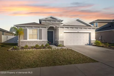3667 Autumn Amber Dr, Spring Hill, FL 34609