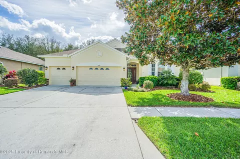 19140 Sunset Bay Dr, Land O' Lakes, FL 34638