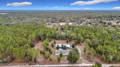 29508 Wildlife Ln, Brooksville, FL 34602