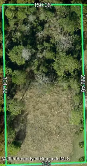 11039 Fulton Ave, Weeki Wachee, FL 34613