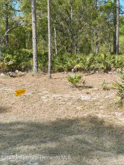 18235 Parakeet Rd, Weeki Wachee, FL 34614