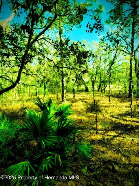 lot1 Robin Ave, Weeki Wachee, FL 34614