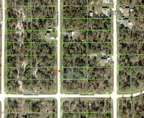 16382 Kingbird Rd, Weeki Wachee, FL 34614