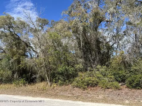 lot Apt 26 Riverstone St, Webster, FL 33597