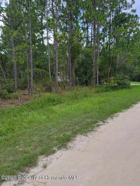 13106 Sparrow Hawk Ave, Weeki Wachee, FL 34614