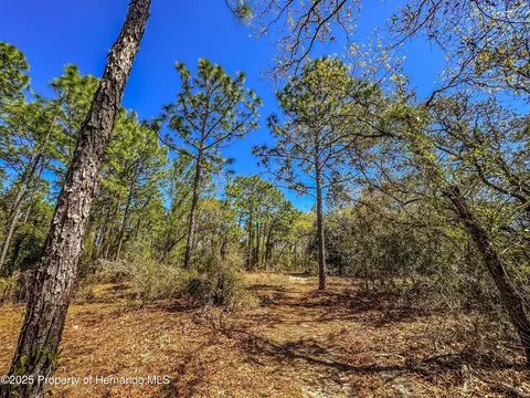 0 Sheffield Rd, Spring Hill, FL 34608