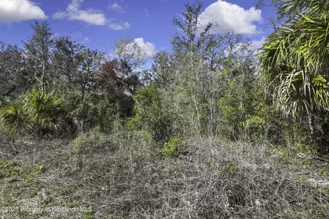 0 Ozark Dr, Hudson, FL 34667