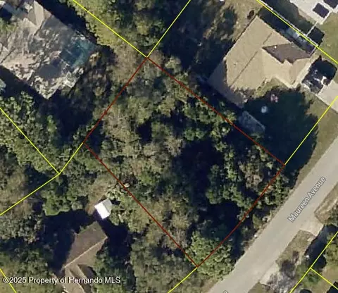 0 Maureen Ave, Spring Hill, FL 34609