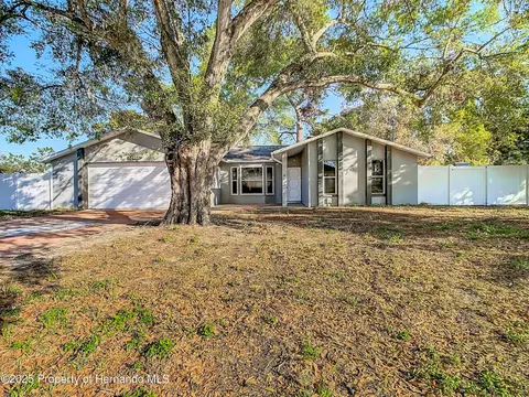 11085 Maderia St, Spring Hill, FL 34609