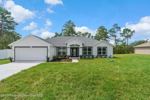 12493 Downy Woodpecker Rd, Weeki Wachee, FL 34614