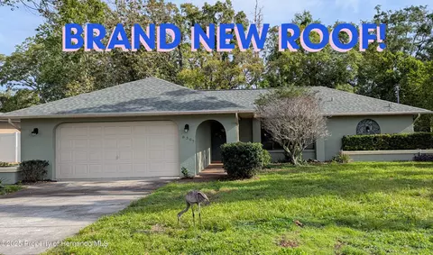 8307 Dora St, Spring Hill, FL 34608