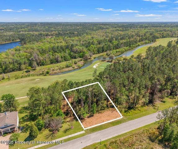 0 English Walnut Pl, Brooksville, FL 34601