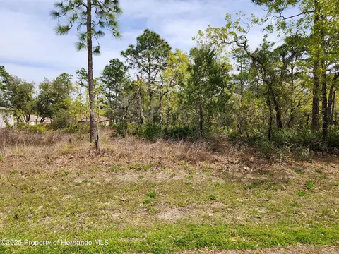 0 Liberto Rd, Weeki Wachee, FL 34614