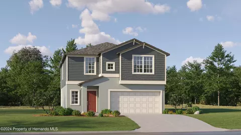 17560 Happytrails St, Land O' Lakes, FL 34638